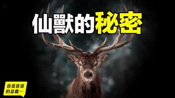 鹿优选提现多久能到账