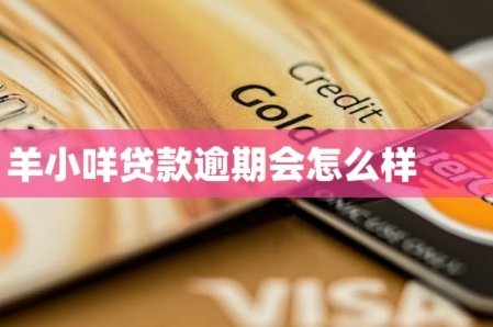 羊小咩借钱：攻略与注意事项