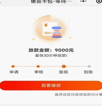 便荔卡包备用金，审核必要吗？