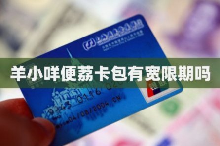 羊小咩便荔卡包哪里买？电商与线下全渠道购买指南