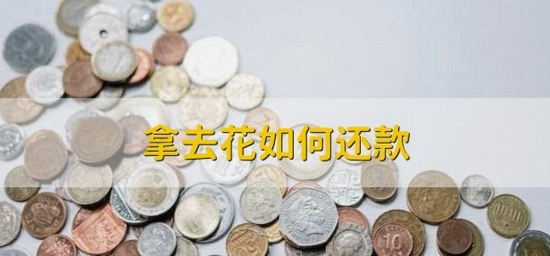携程拿去花注销步骤详解