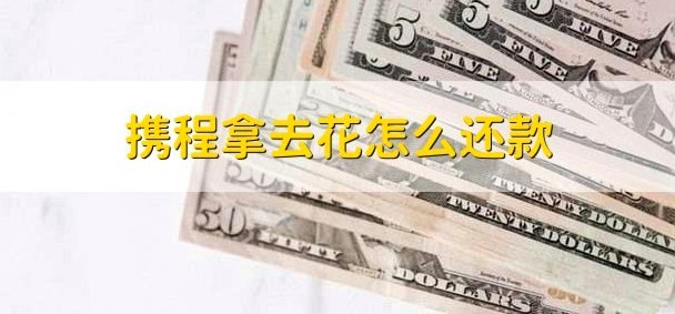 携程上拿去花怎么注销