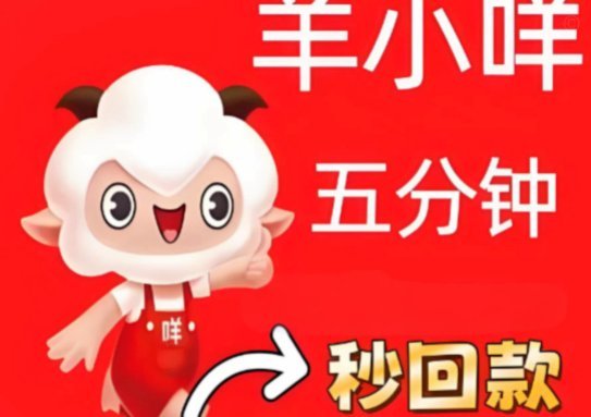 羊小咩还款指南  高效完成借款 repayment