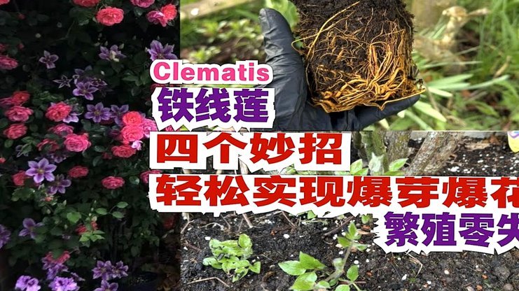 花呗套现可行吗？风险大在哪？