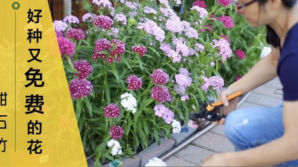 花呗套现手续费怎么算？多少合适？