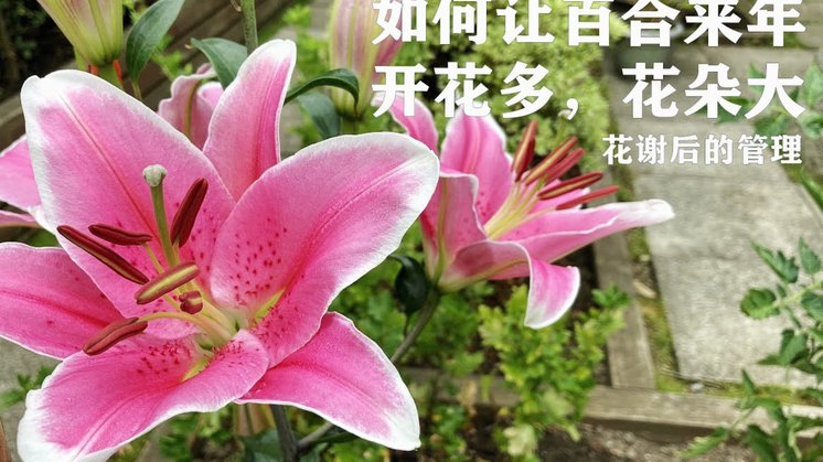 套现花呗合法性：从宽到严的监管转变