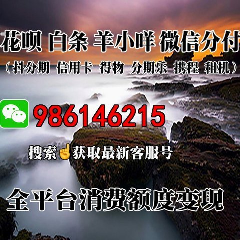 分期乐咋套出来