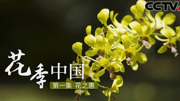 花呗秒到什么意思