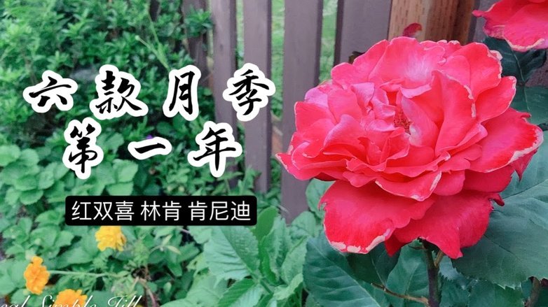 花呗秒到什么意思