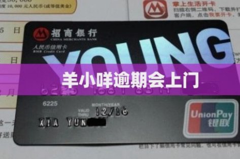 羊小咩怎么没有借款额度