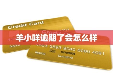 羊小咩怎么没有借款额度