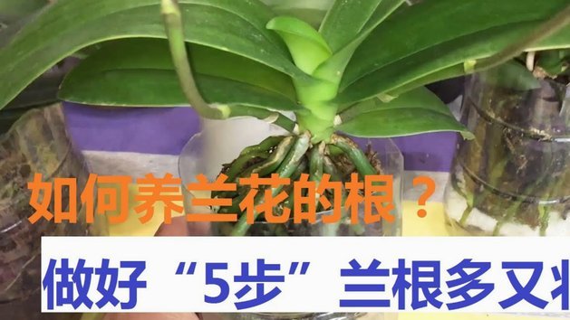 拿去花套现5000几个点