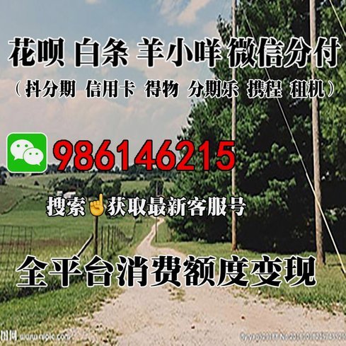 深入解析额度套取机制与风控模型