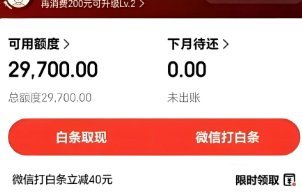 怎样把白条的钱提现出来