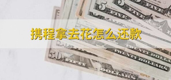 拿去花取现在哪里还款