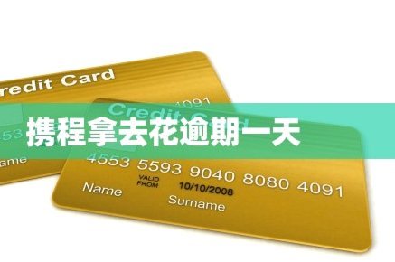 拿去花取现在哪里还款
