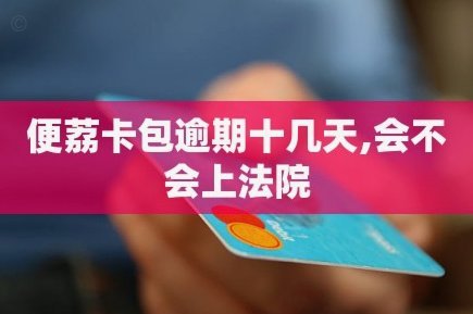 便荔卡包额度如何合理提升