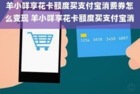 羊小咩消费额度如何评估计算
