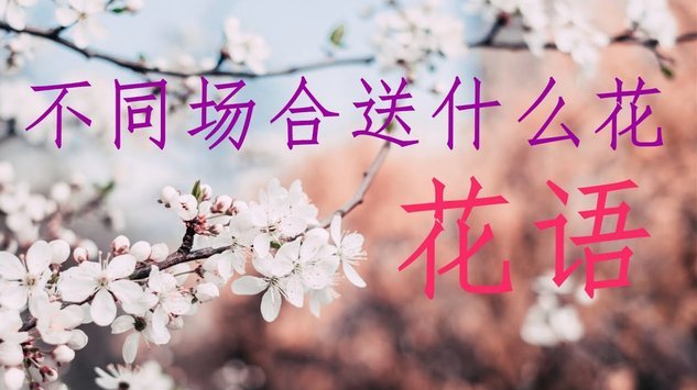 秒用花有人用过吗