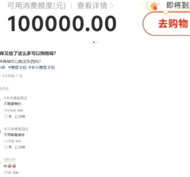 羊小花贷款正规性解析