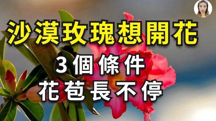 花呗平台正规吗 取消了吗