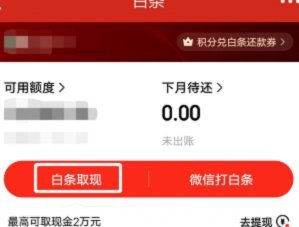 白条秒到怎么刷 取钱