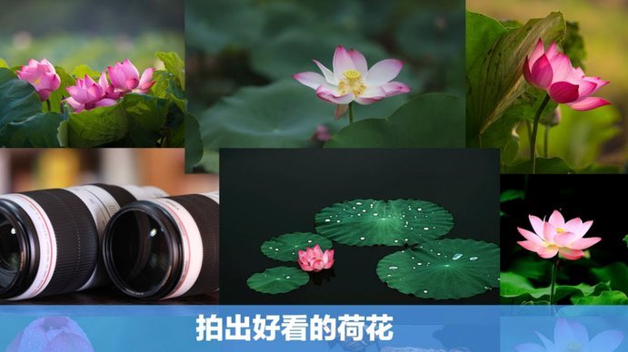 花呗秒批5000额度背后的真相