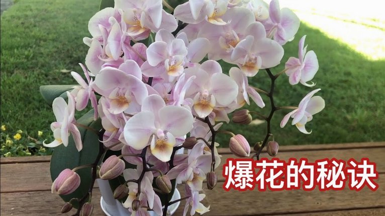花呗直接秒出5000额度
