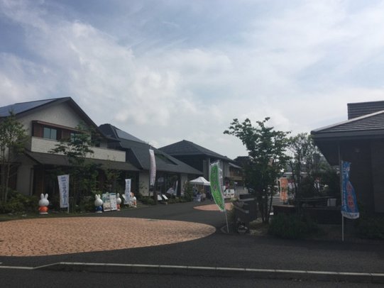 鹿优选点数：深度解析其价值与意义