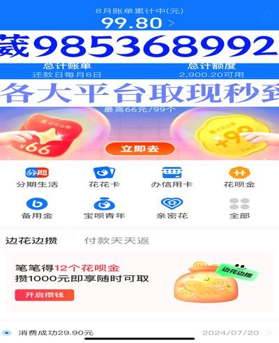 如何将羊小咩的价值转化为商业收益