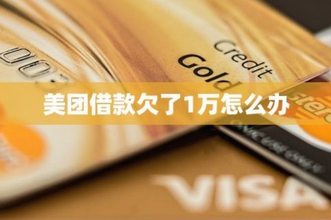 美团月付取现方法 秒到账吗是真的吗