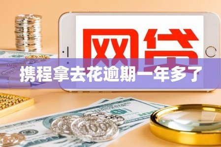 如何优雅地取消携程拿去花会员服务？