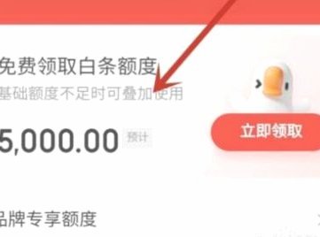 白条加油额度收费模式解析