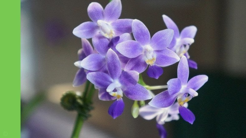 频繁套现花呗会怎样？