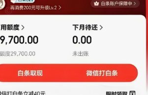 白条怎么提现?白条套取现金最佳方法