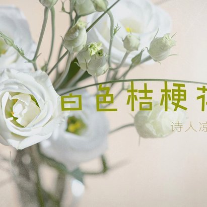 套花呗的机子真管用吗？深度揭秘它的风险与局限性