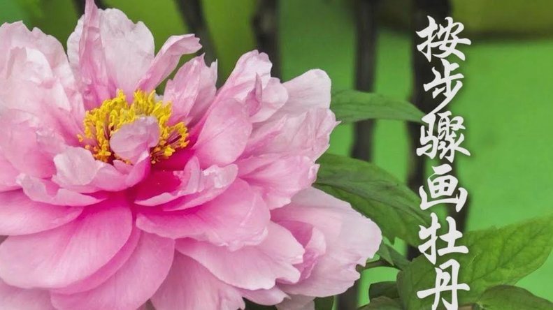 花呗套现平台风险大不大看账单知详情