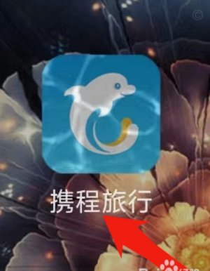 拿去花额度合理使用指南