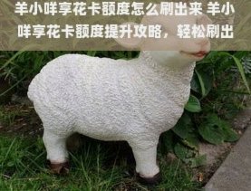 羊小咩1000