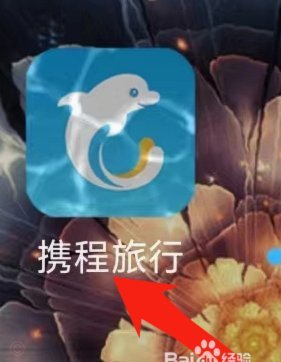 携程拿去花怎么样