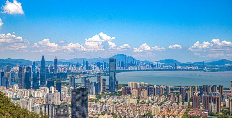 深圳或将关停外卖平台以整顿行业秩序