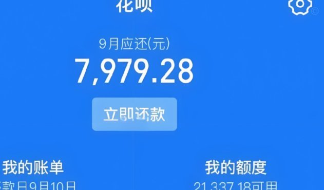 花呗使用平台 现在还有吗
