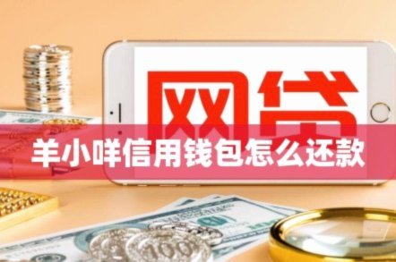 羊小咩临时额度怎么套