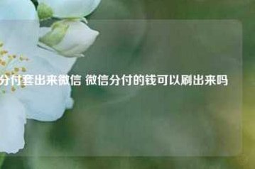 分付小卖部扫400套现