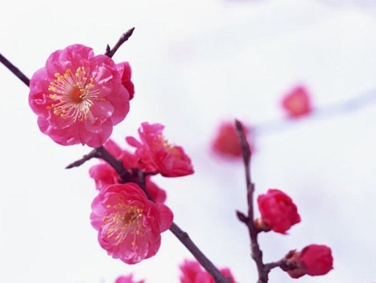 从支付到决策：揭秘花呗秒下背后的金融科技力量