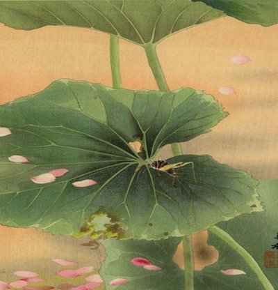 “拿去花提现”背后的信任危机