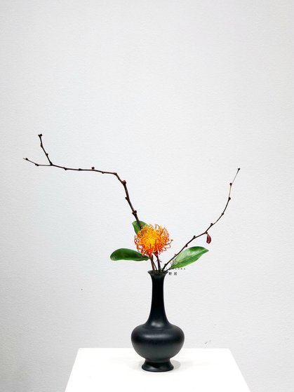 拿去花提现