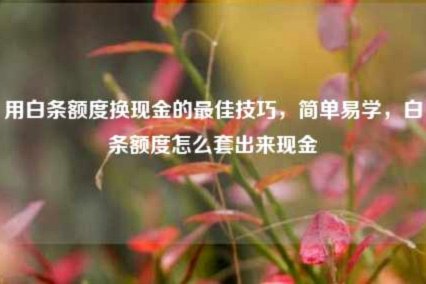京东白条提现是网贷吗？