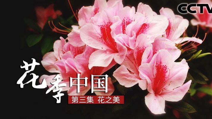 携程“拿去花”提现可行吗？