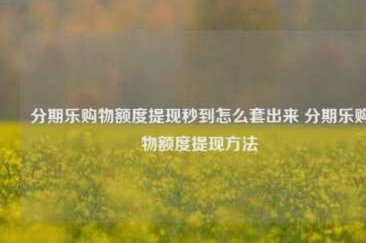 分期乐购物额度如何使用